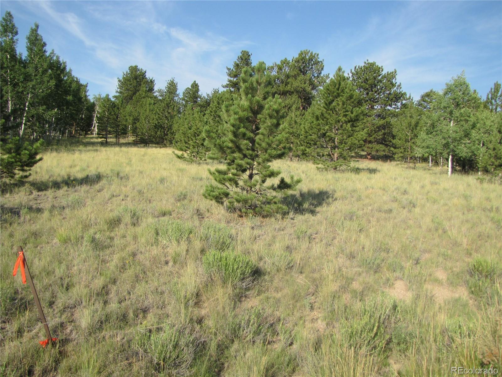 9736 Ranch Road Hartsel CO 80449