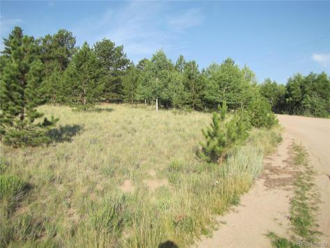 9736 Ranch Road Hartsel CO 80449