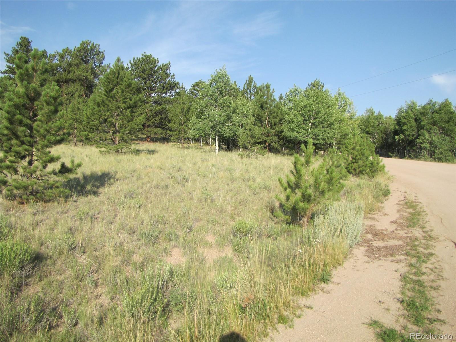 9736 Ranch Road Hartsel CO 80449