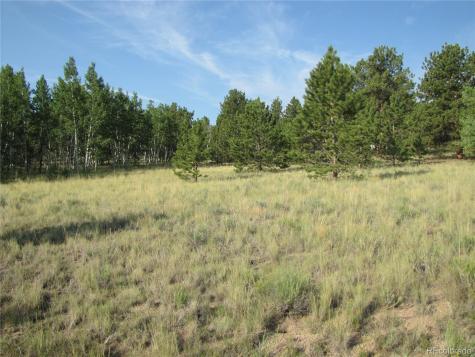 9736 Ranch Road Hartsel CO 80449
