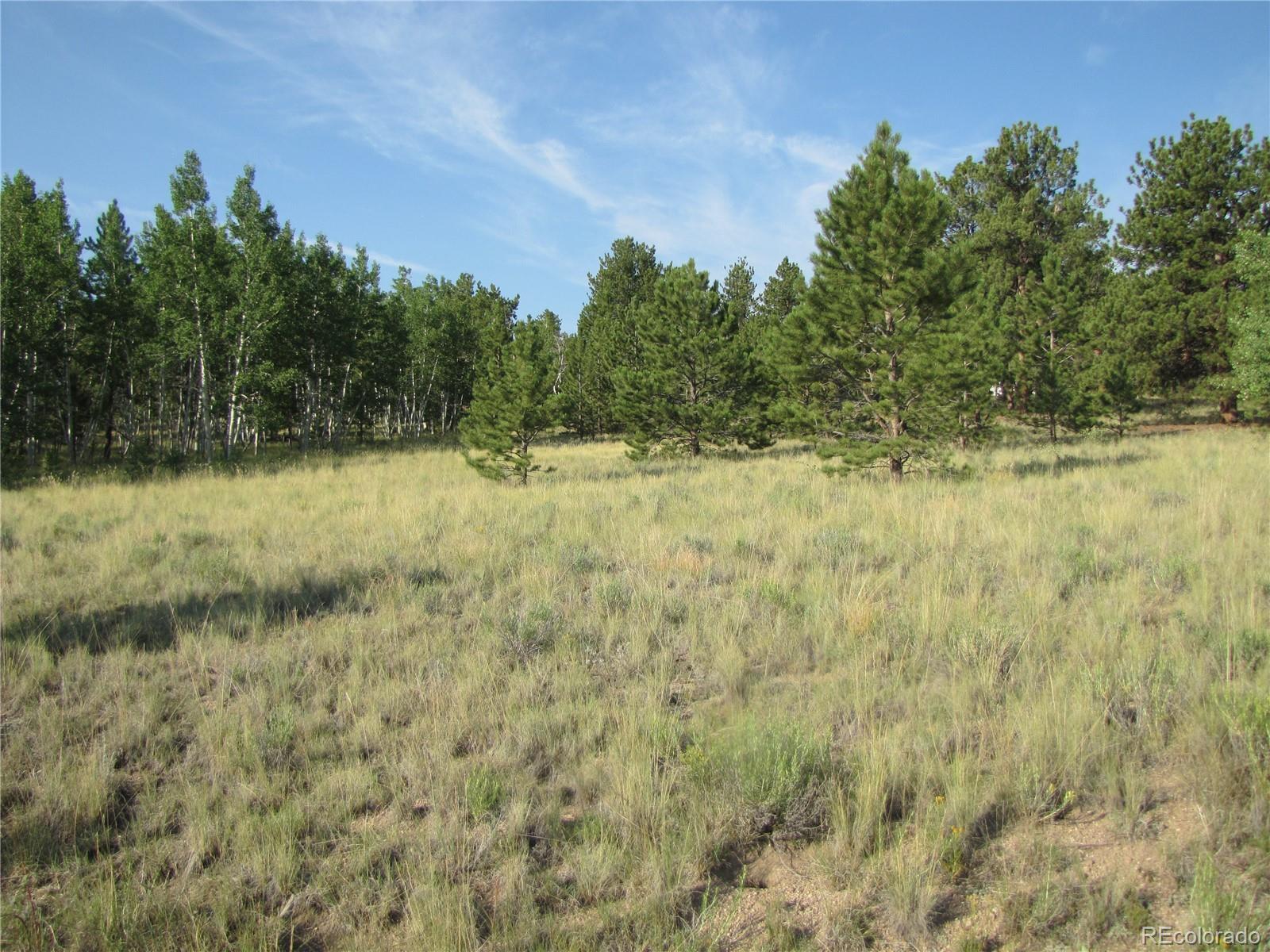 9736 Ranch Road Hartsel CO 80449