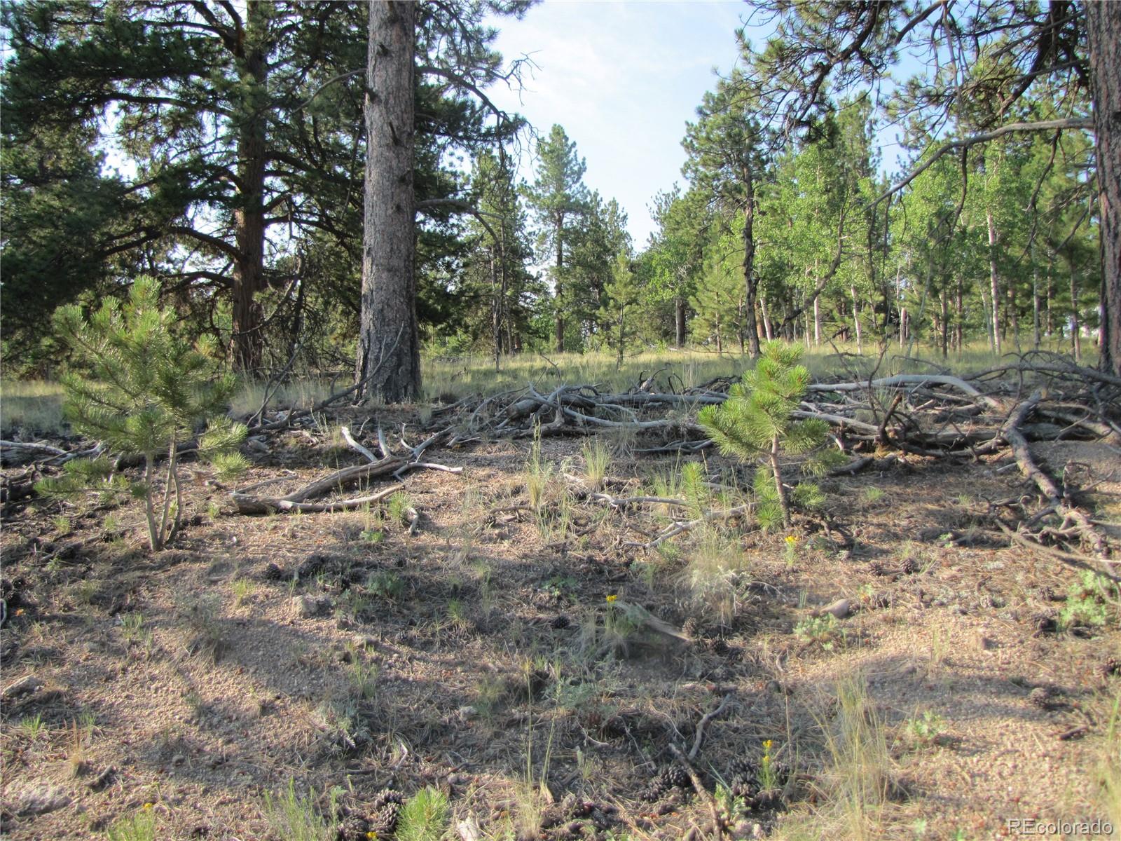 9736 Ranch Road Hartsel CO 80449