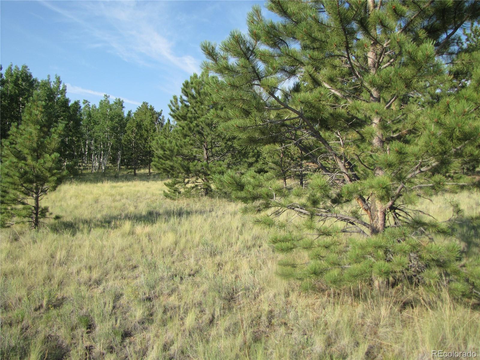 9736 Ranch Road Hartsel CO 80449