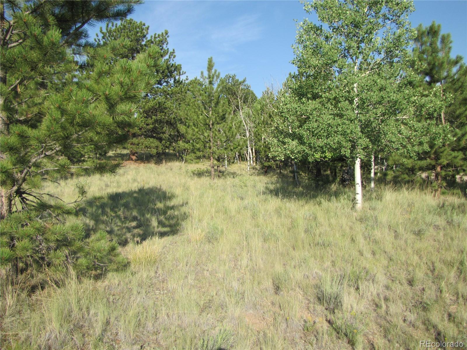 9736 Ranch Road Hartsel CO 80449