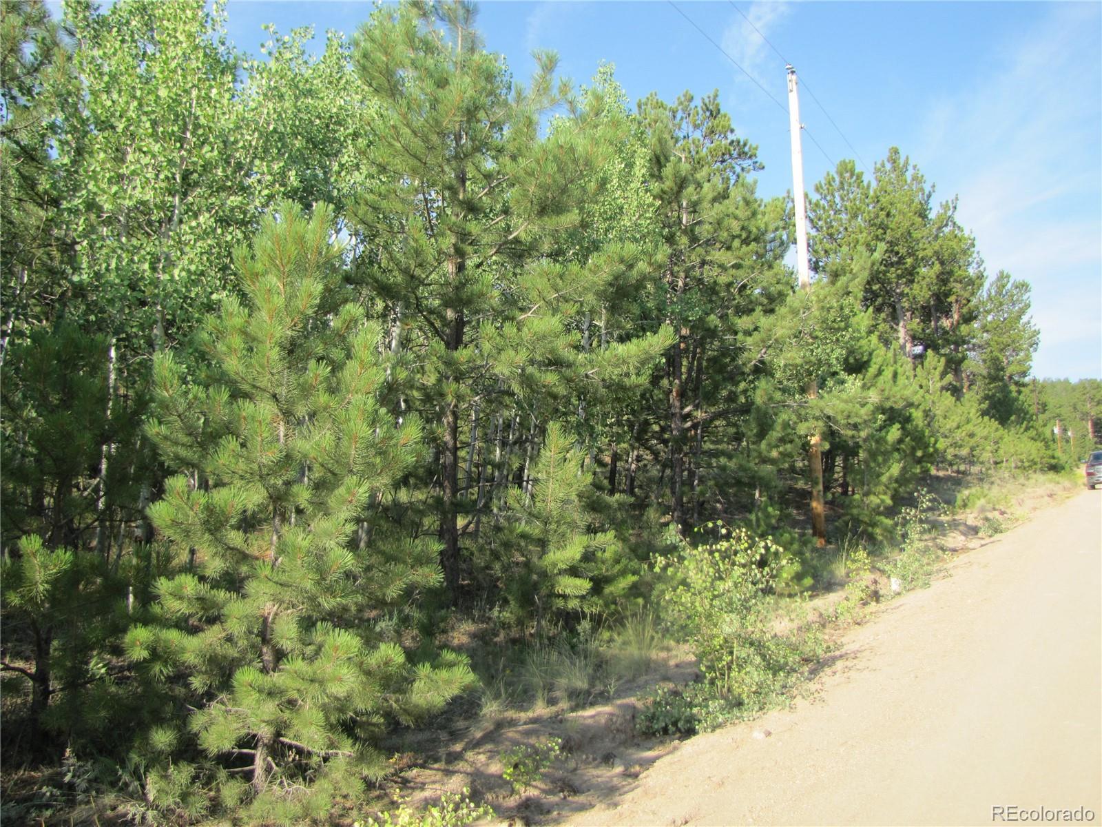 9736 Ranch Road Hartsel CO 80449