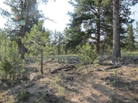 9736 Ranch Road Hartsel CO 80449