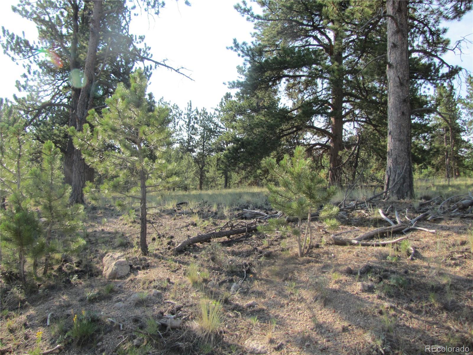 9736 Ranch Road Hartsel CO 80449