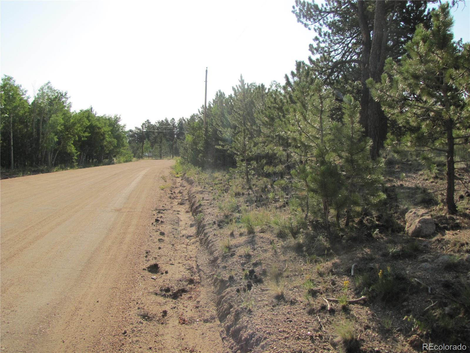 9736 Ranch Road Hartsel CO 80449