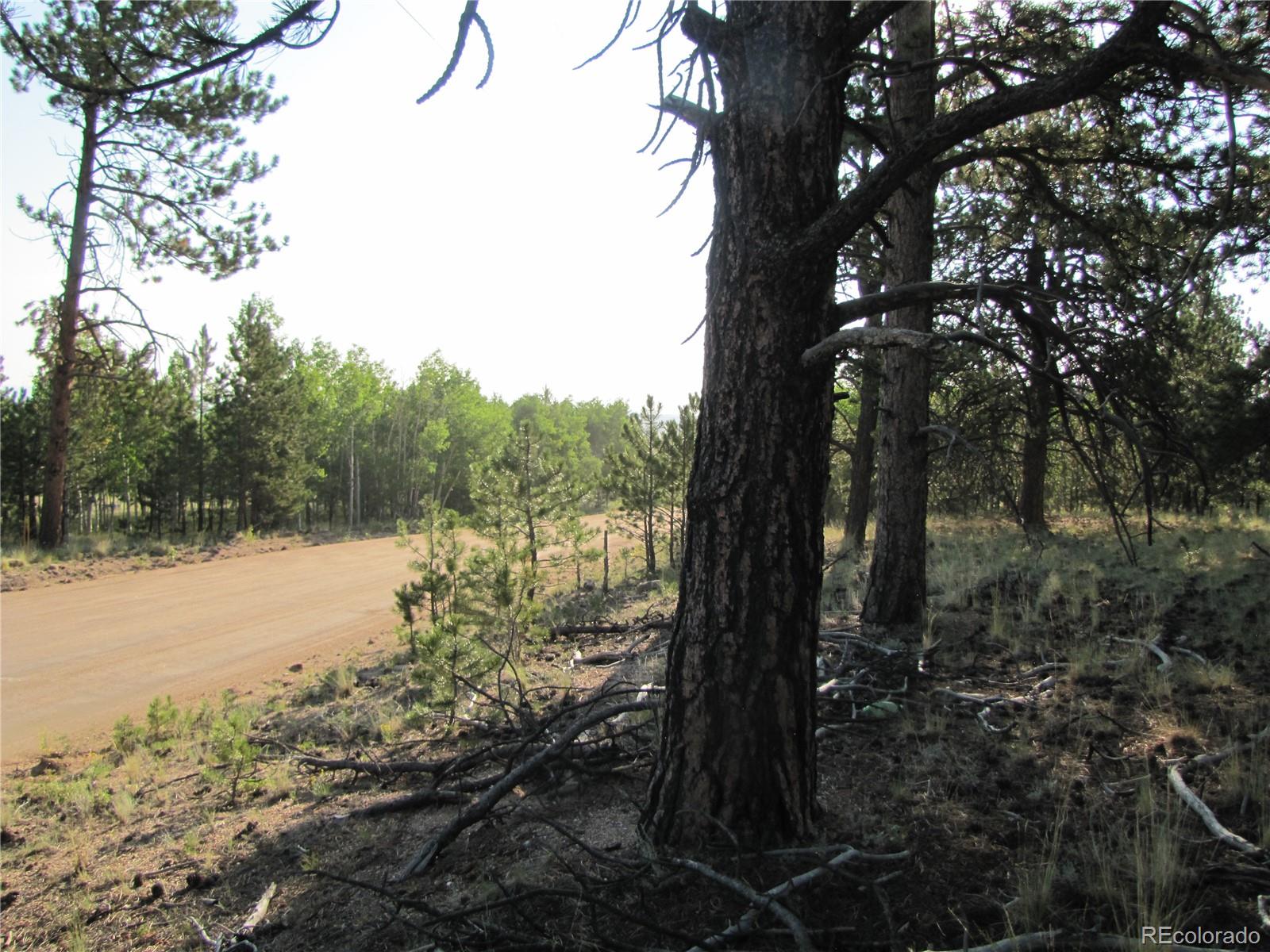 9736 Ranch Road Hartsel CO 80449