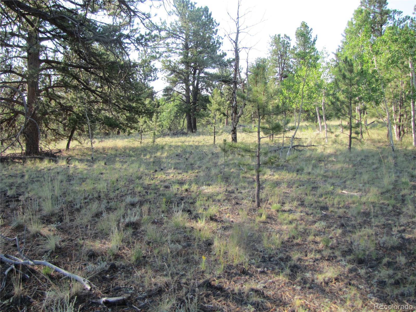 9736 Ranch Road Hartsel CO 80449