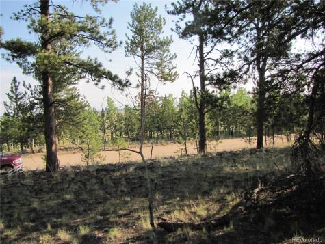 9736 Ranch Road Hartsel CO 80449