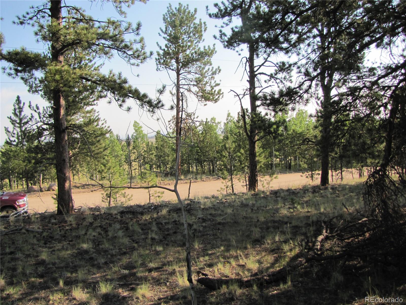 9736 Ranch Road Hartsel CO 80449