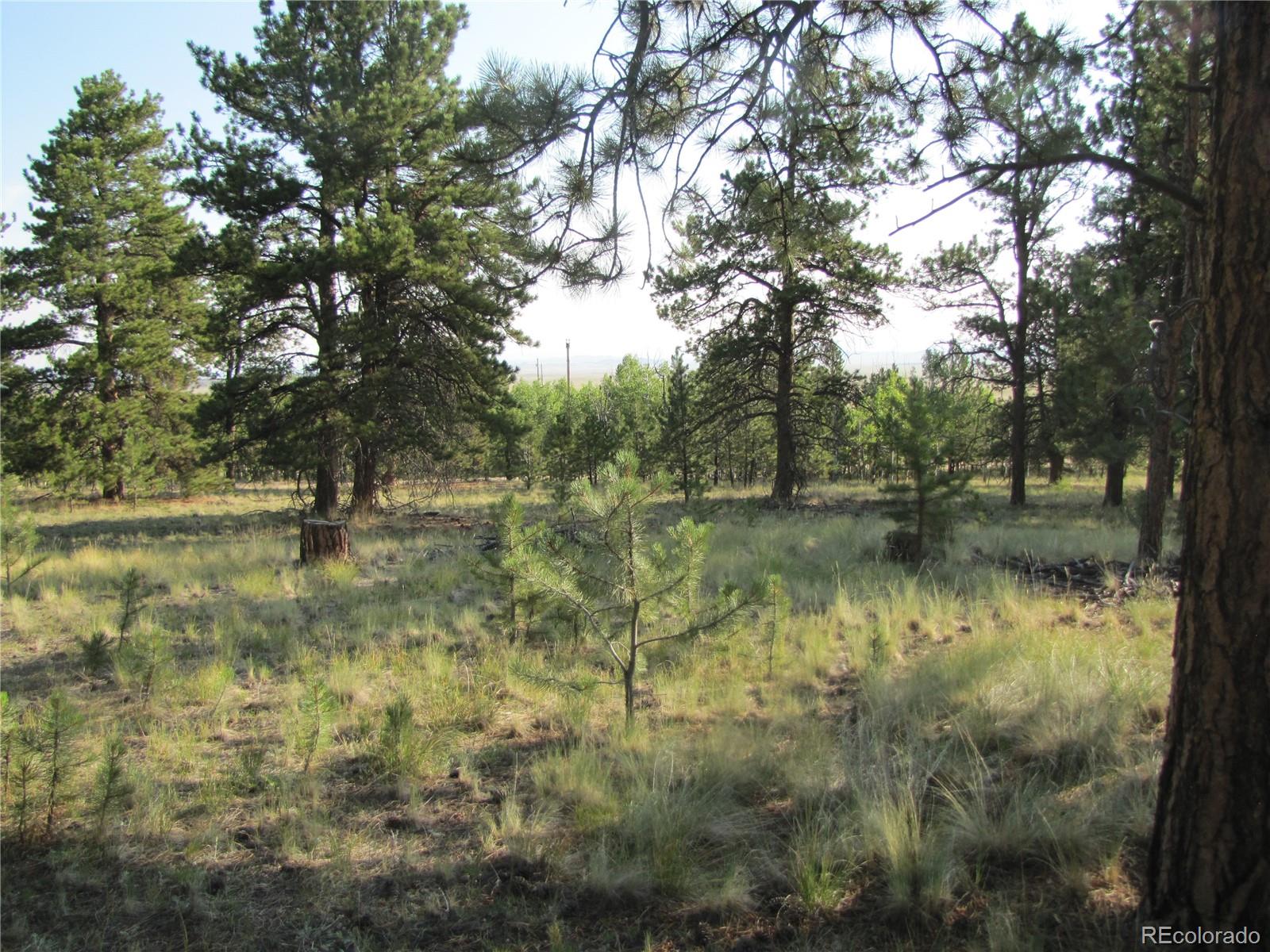 9736 Ranch Road Hartsel CO 80449