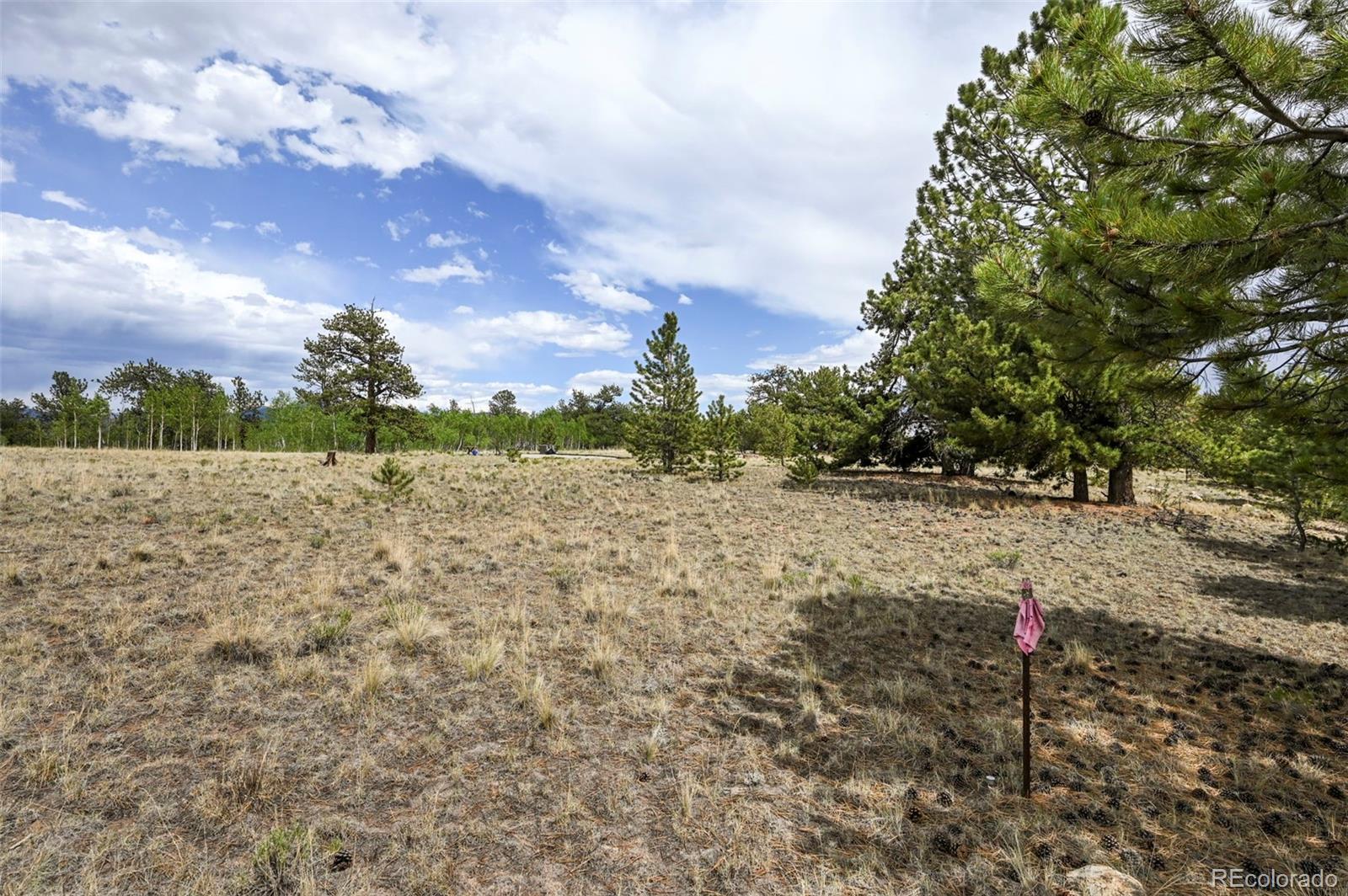 614 Yellowstone Road Hartsel CO 80449