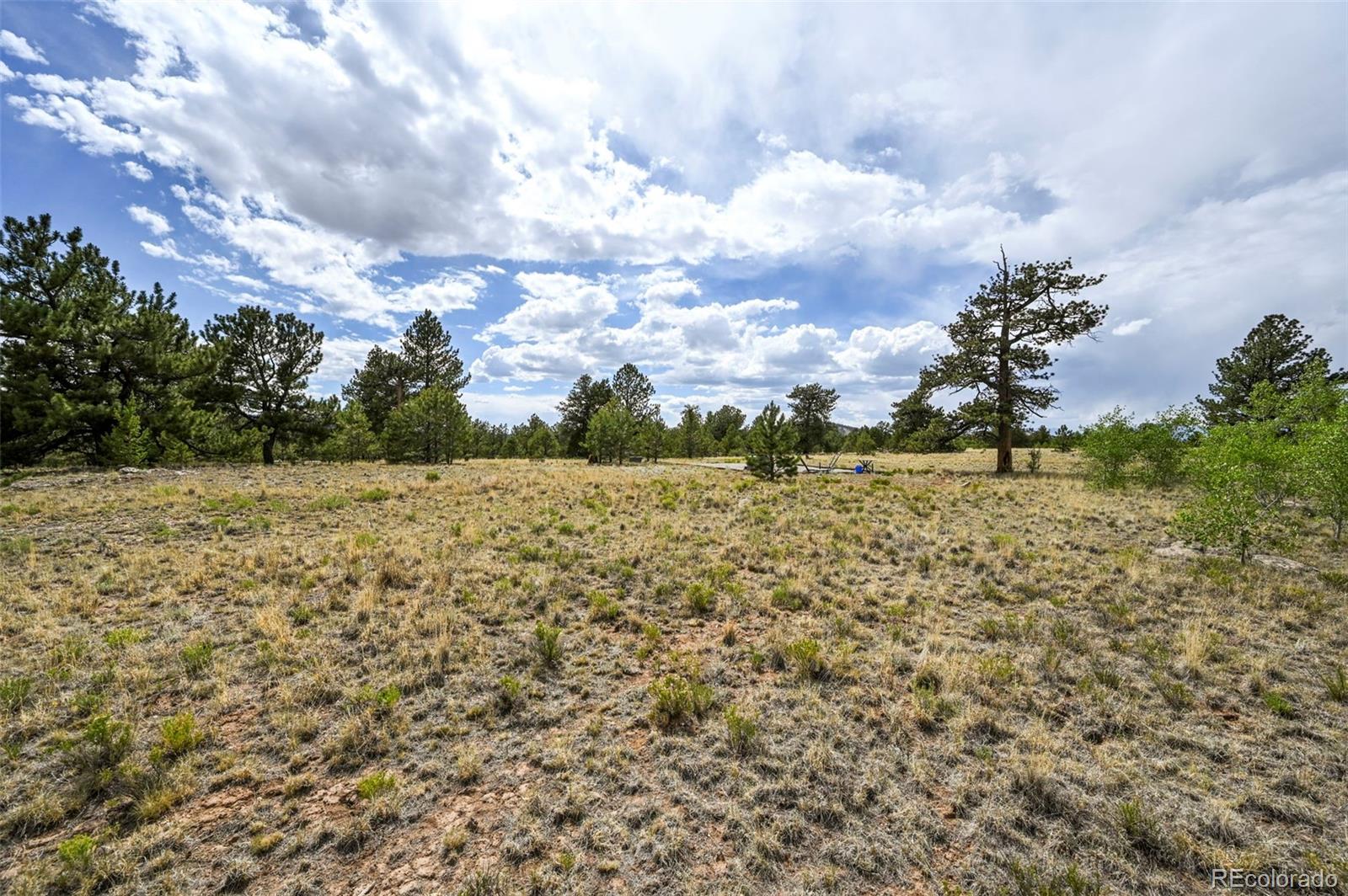 614 Yellowstone Road Hartsel CO 80449