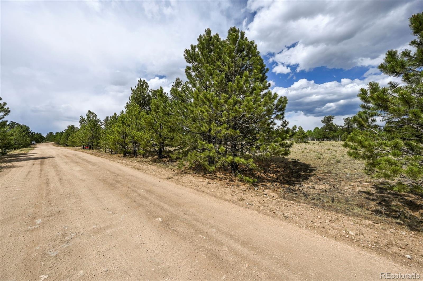 614 Yellowstone Road Hartsel CO 80449