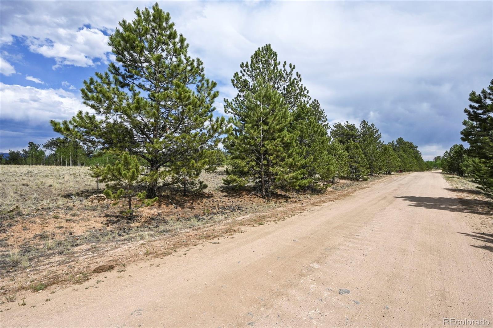 614 Yellowstone Road Hartsel CO 80449