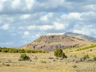 553 W Pfieffer Loop South Fork CO 81154