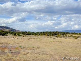 553 W Pfieffer Loop South Fork CO 81154