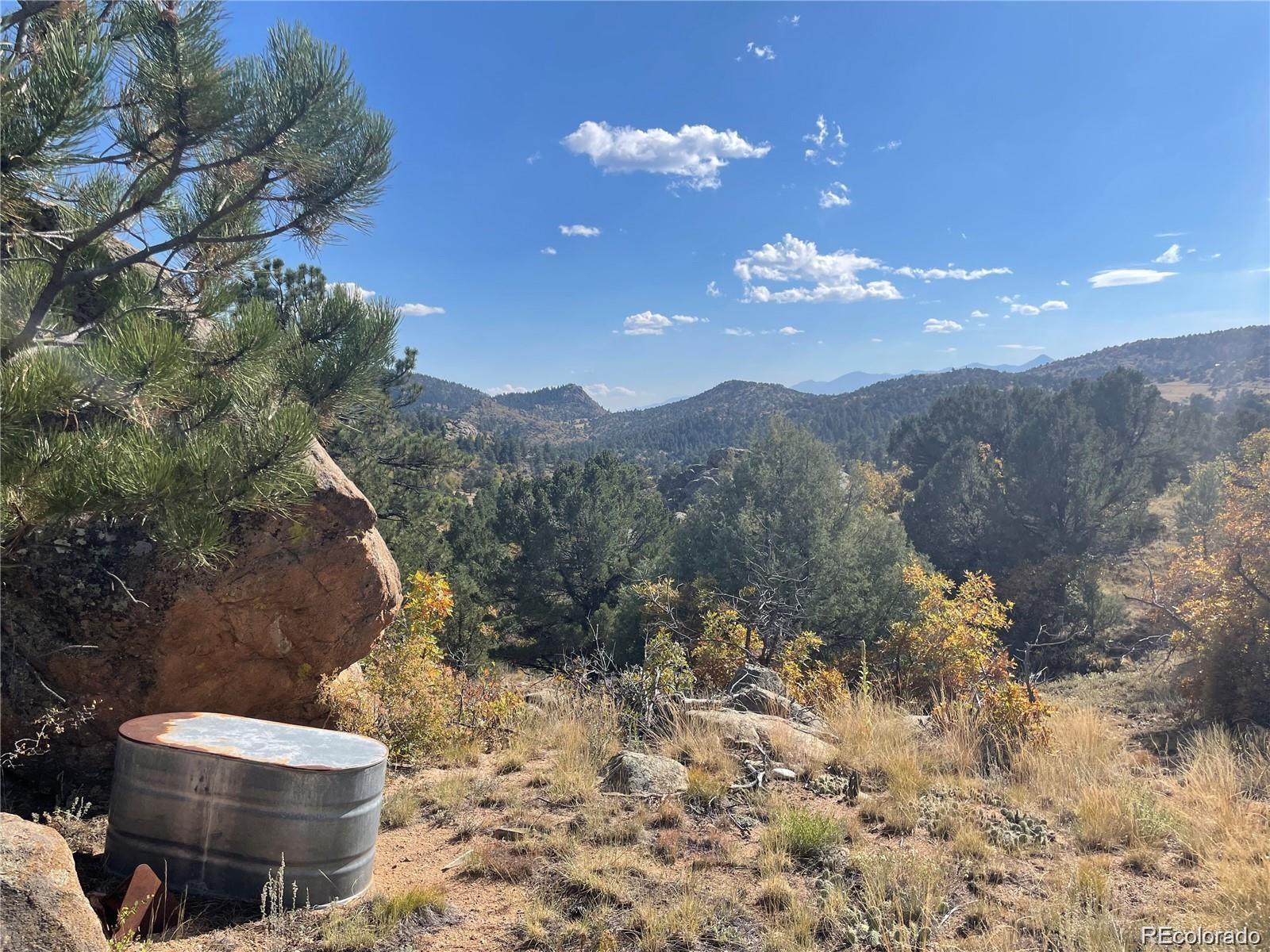 1810 Bird Point Drive Cotopaxi CO 81223
