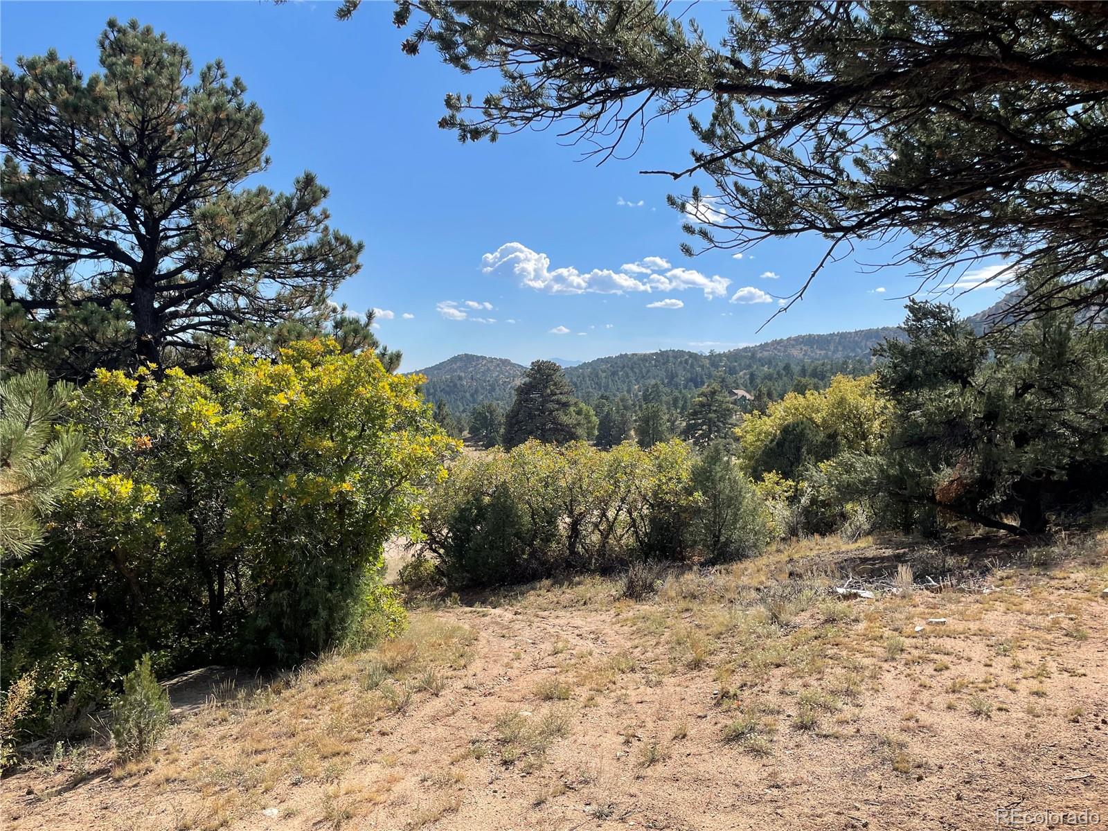 1810 Bird Point Drive Cotopaxi CO 81223