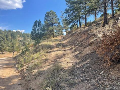 1810 Bird Point Drive Cotopaxi CO 81223