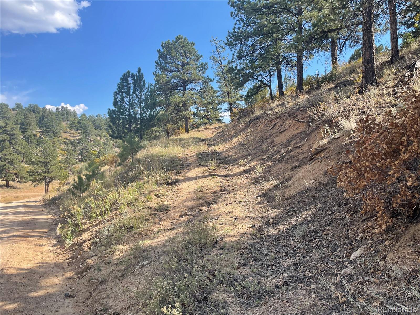 1810 Bird Point Drive Cotopaxi CO 81223