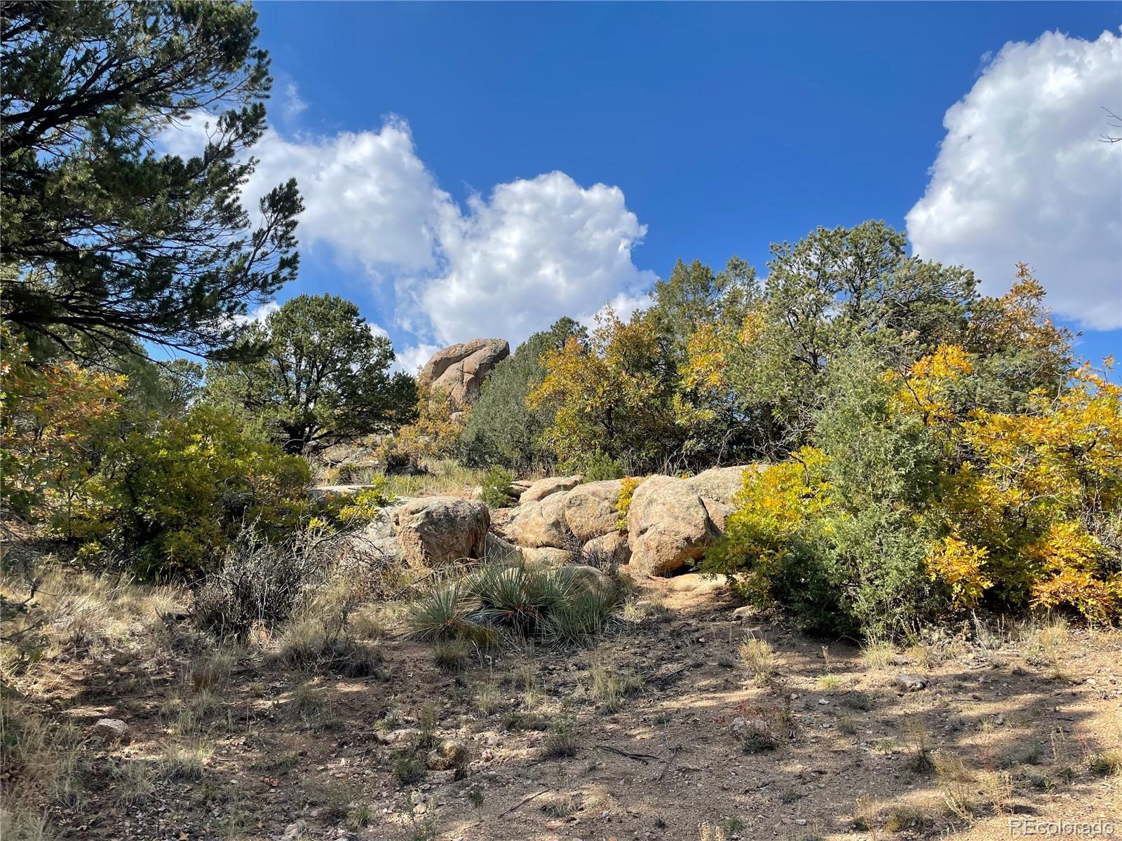 1810 Bird Point Drive Cotopaxi CO 81223