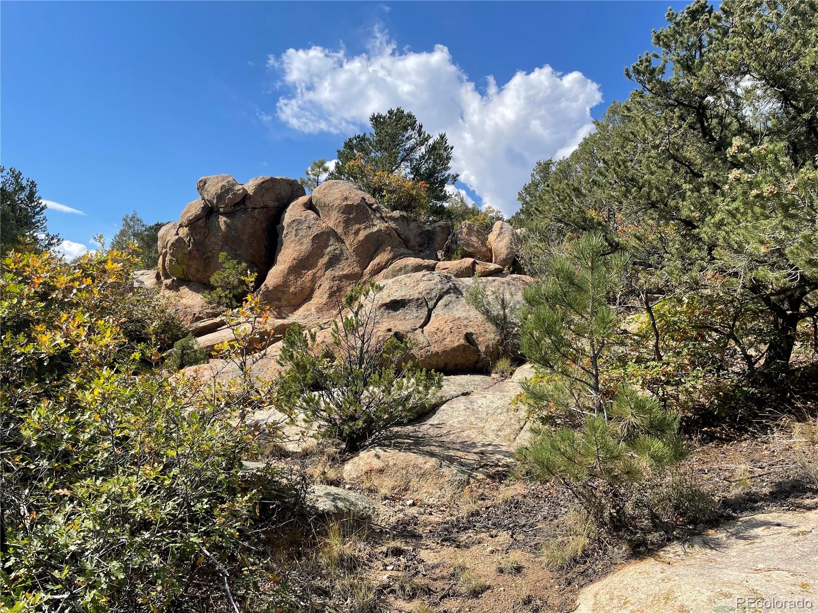 1810 Bird Point Drive Cotopaxi CO 81223