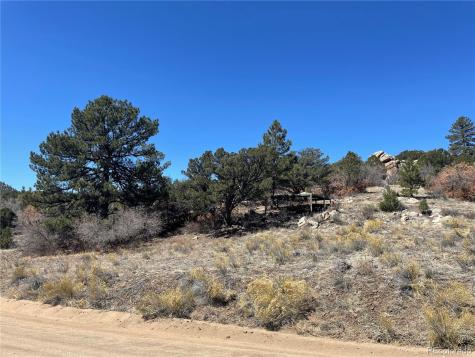 1810 Bird Point Drive Cotopaxi CO 81223