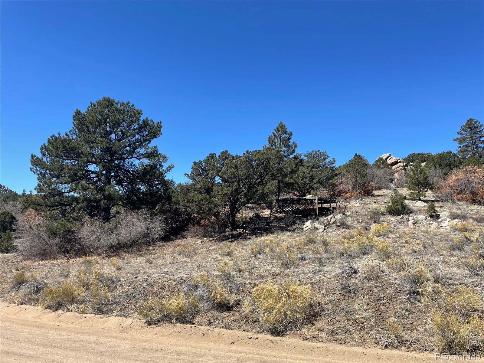 1810 Bird Point Drive Cotopaxi CO 81223
