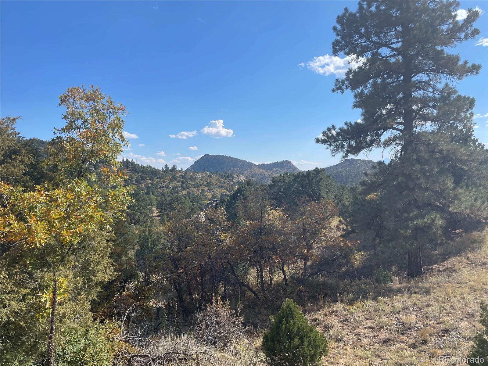 1810 Bird Point Drive Cotopaxi CO 81223