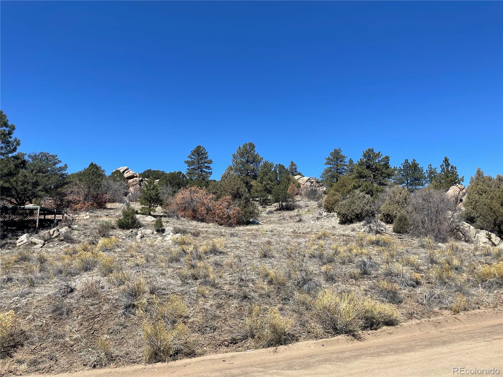 1810 Bird Point Drive Cotopaxi CO 81223