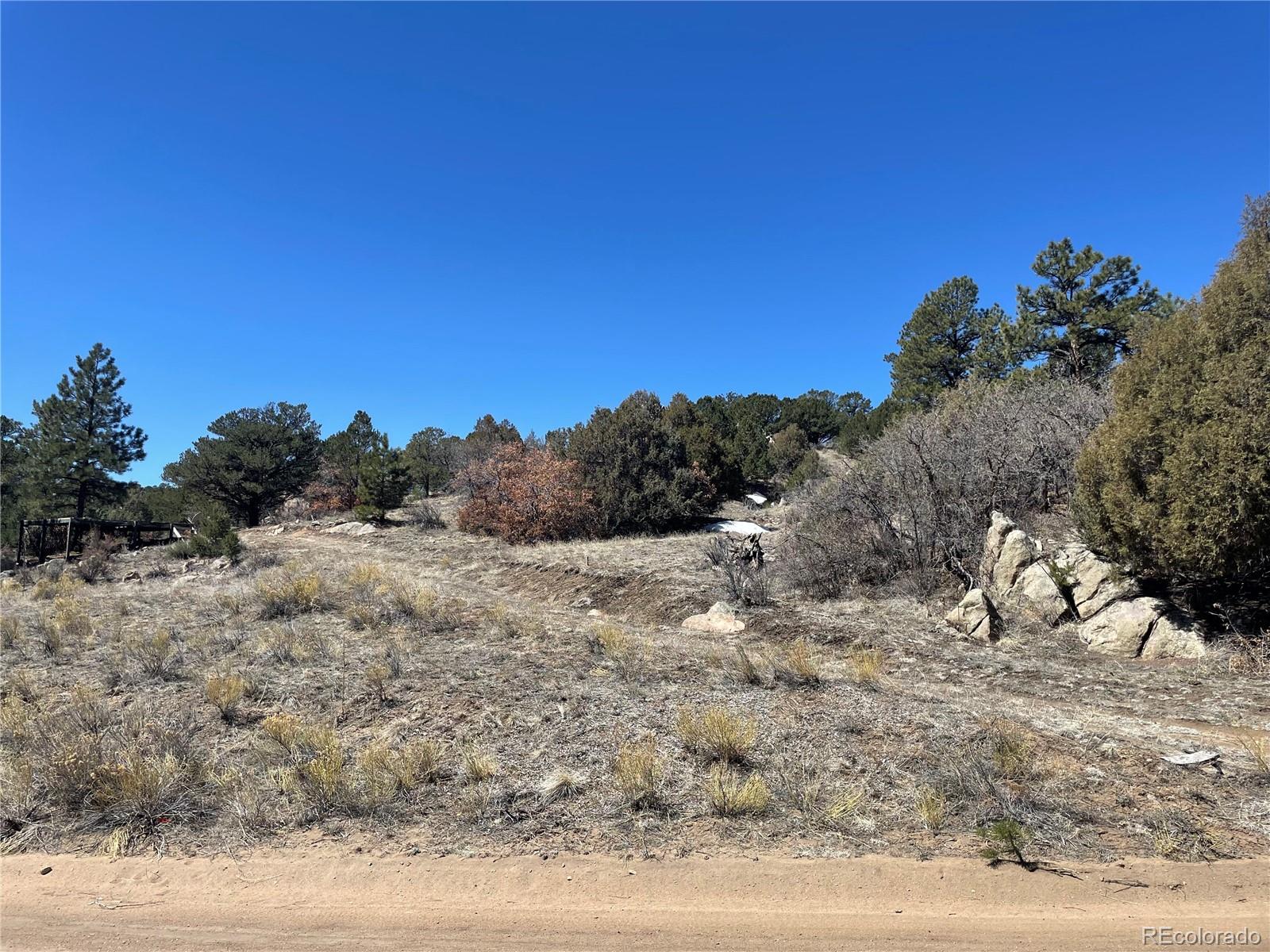 1810 Bird Point Drive Cotopaxi CO 81223