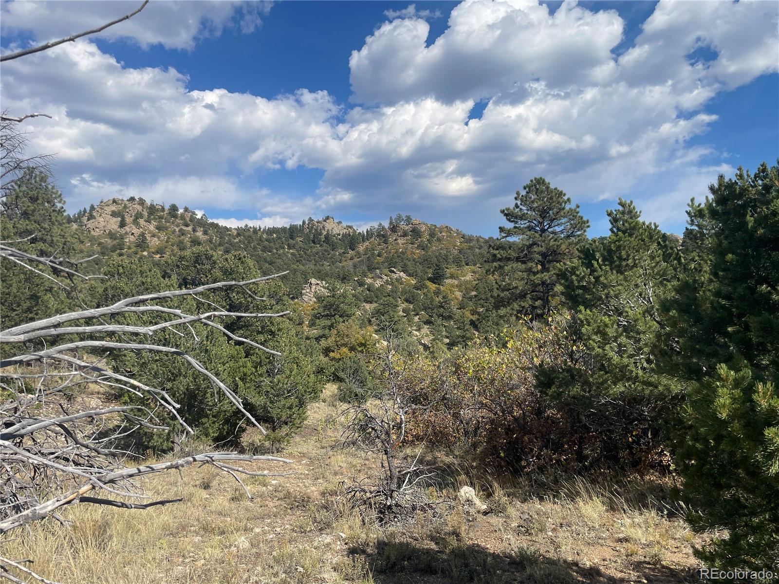 1810 Bird Point Drive Cotopaxi CO 81223