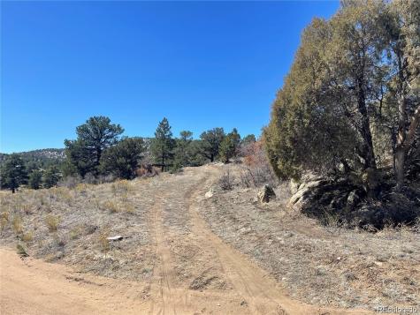 1810 Bird Point Drive Cotopaxi CO 81223