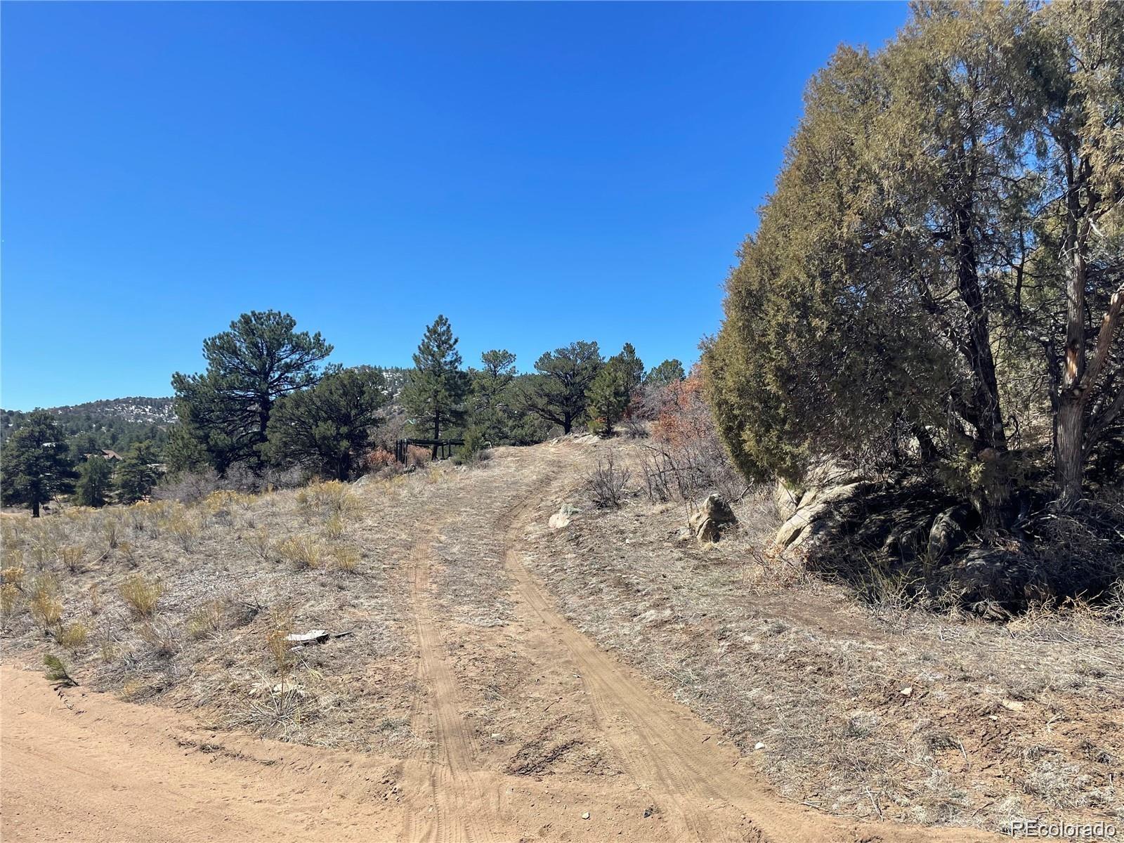1810 Bird Point Drive Cotopaxi CO 81223