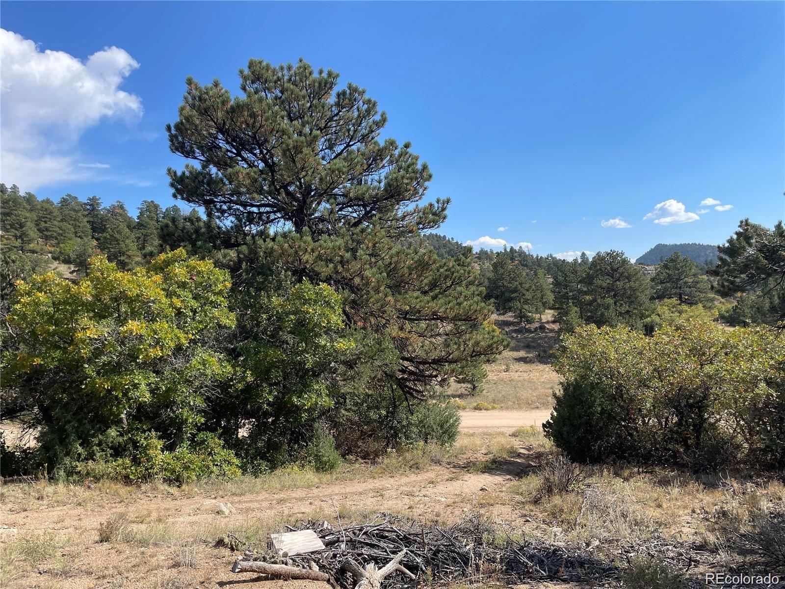 1810 Bird Point Drive Cotopaxi CO 81223