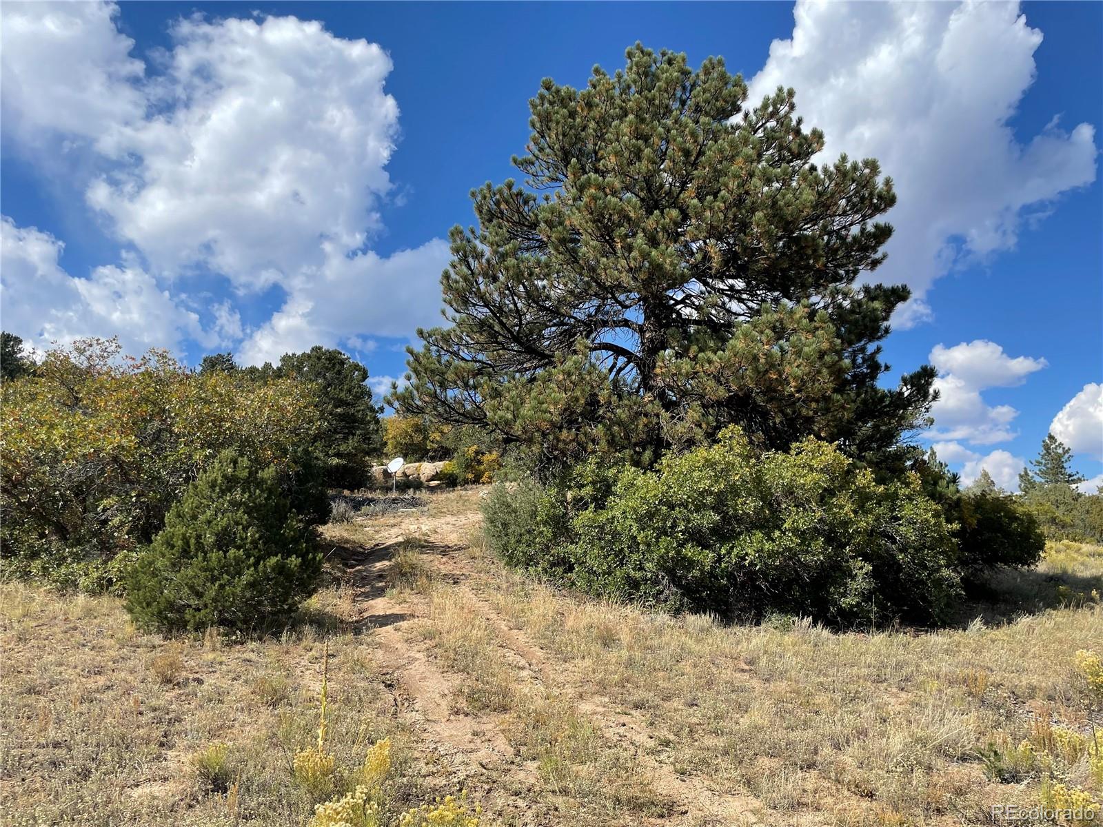 1810 Bird Point Drive Cotopaxi CO 81223
