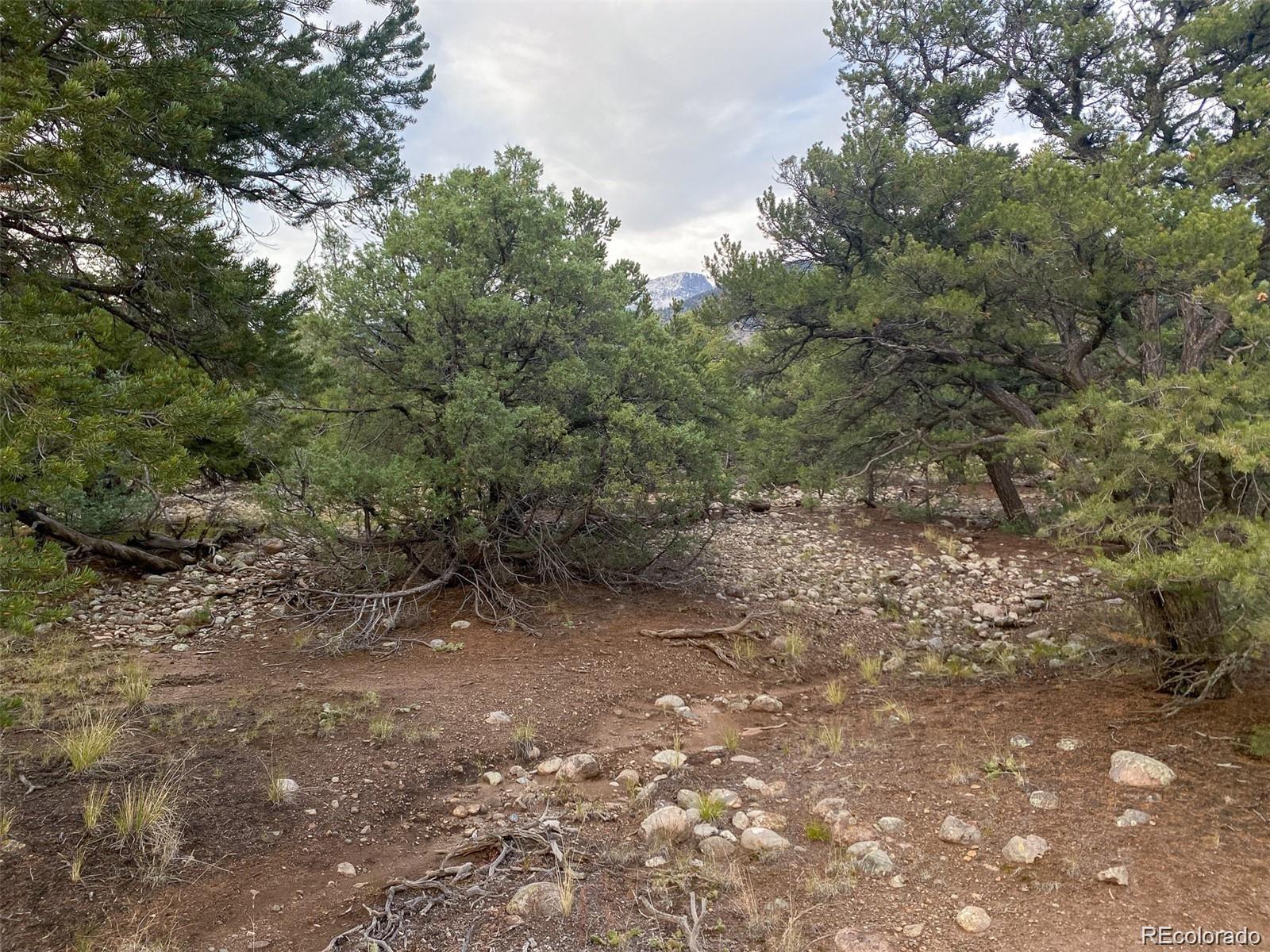 3872 Jubilant Terrace Crestone CO 81131