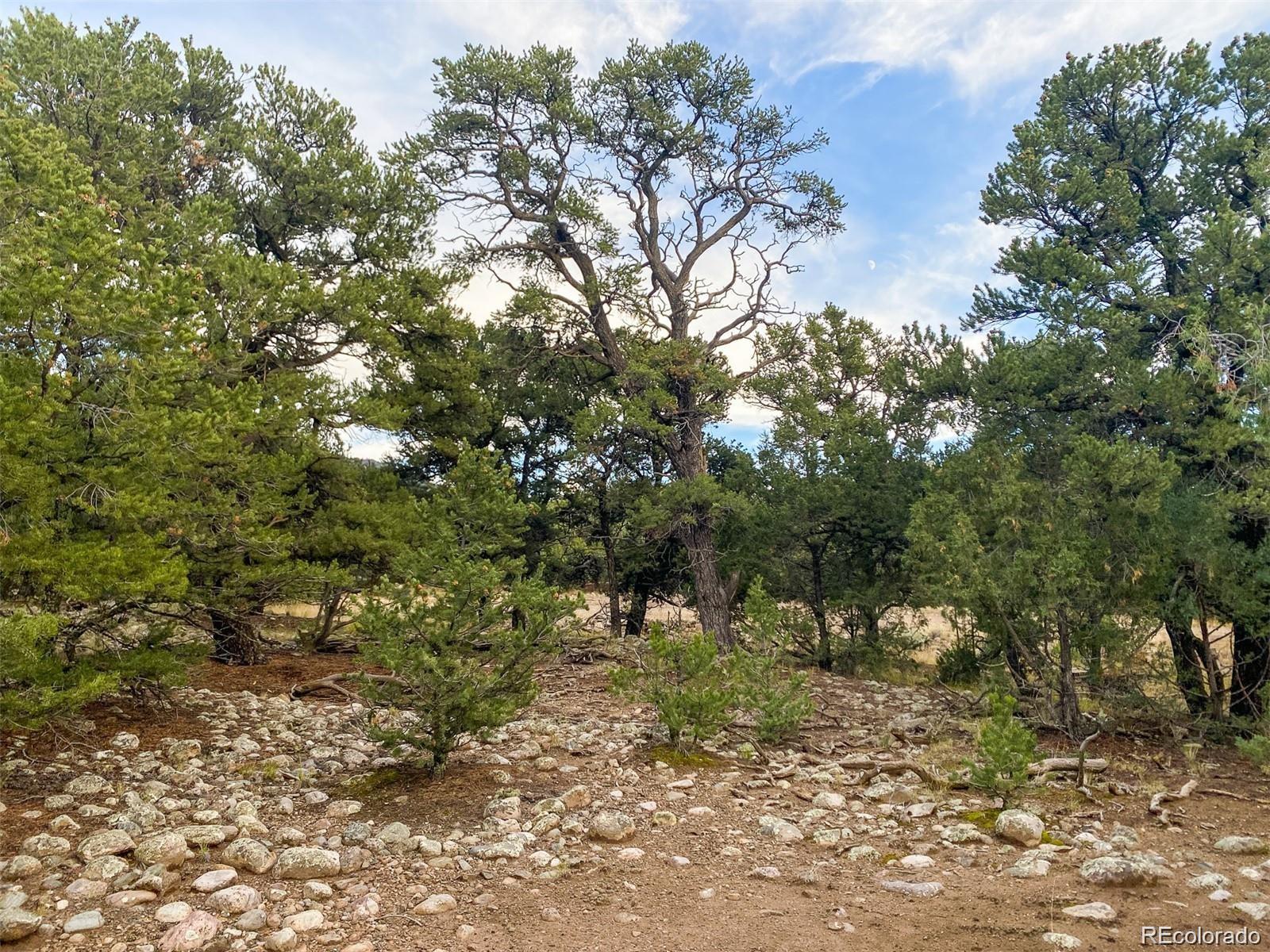 3872 Jubilant Terrace Crestone CO 81131