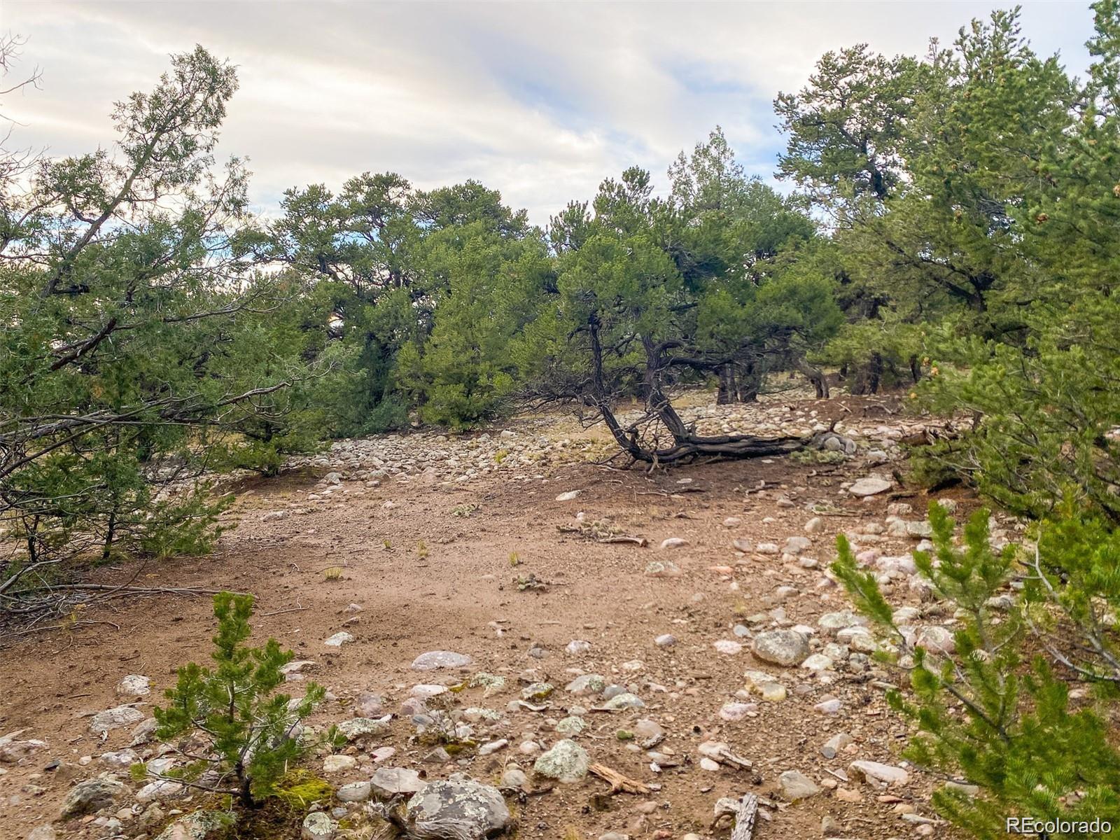 3872 Jubilant Terrace Crestone CO 81131