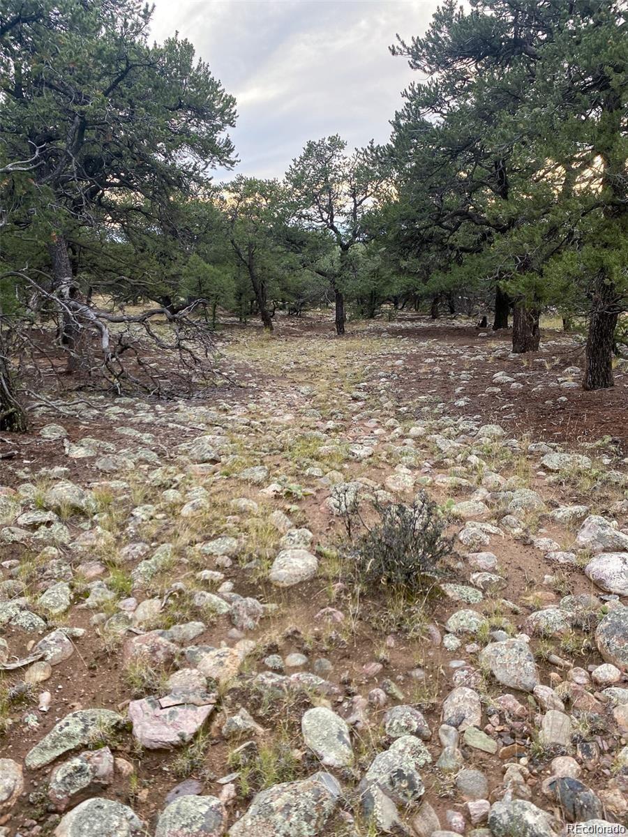 3872 Jubilant Terrace Crestone CO 81131