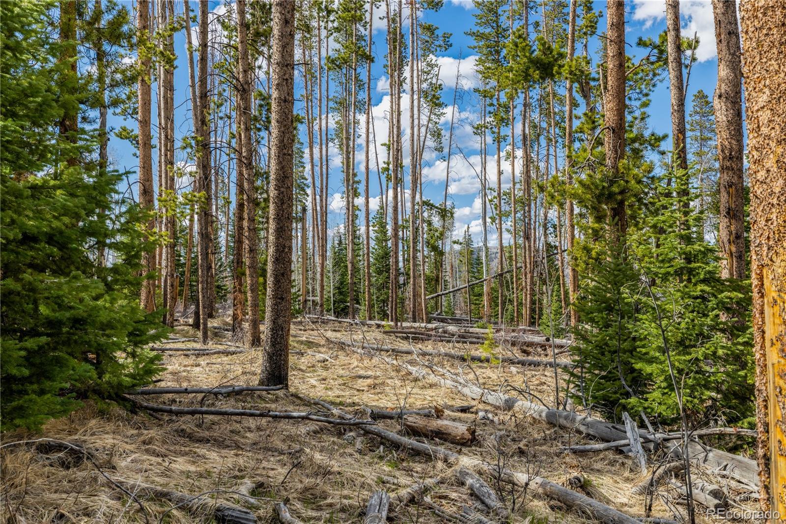 Lot 98 South Station Ii Oak Creek CO 80467