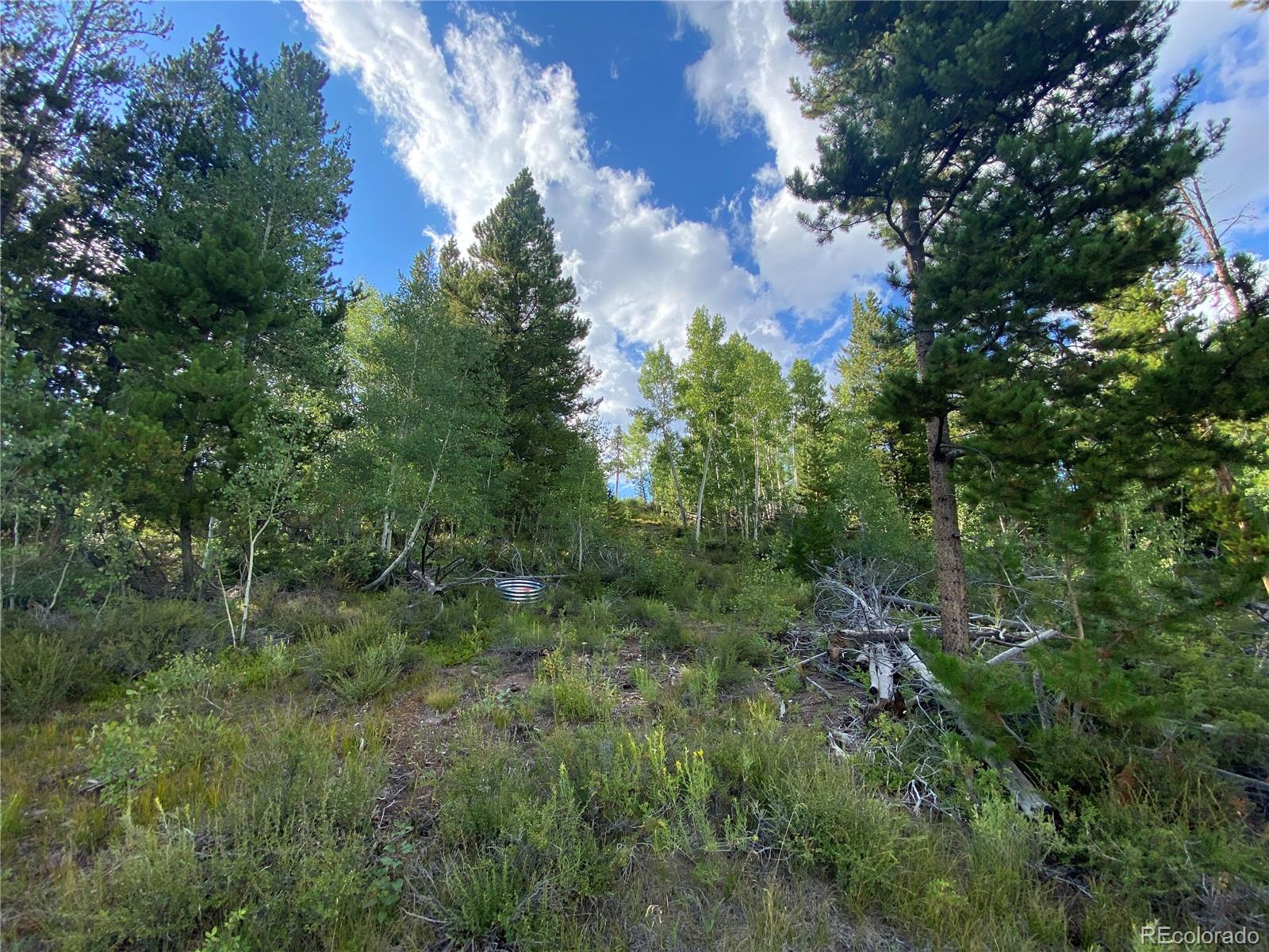 226 County Road 863 Tabernash CO 80478