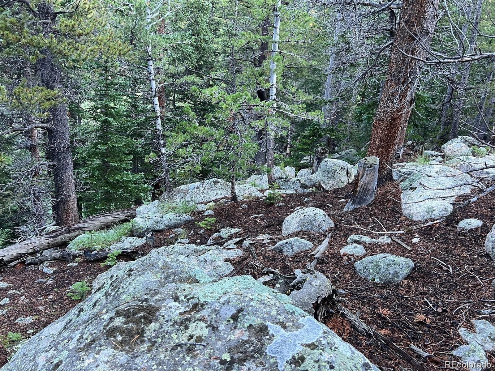 111 Lake Road Idaho Springs CO 80452