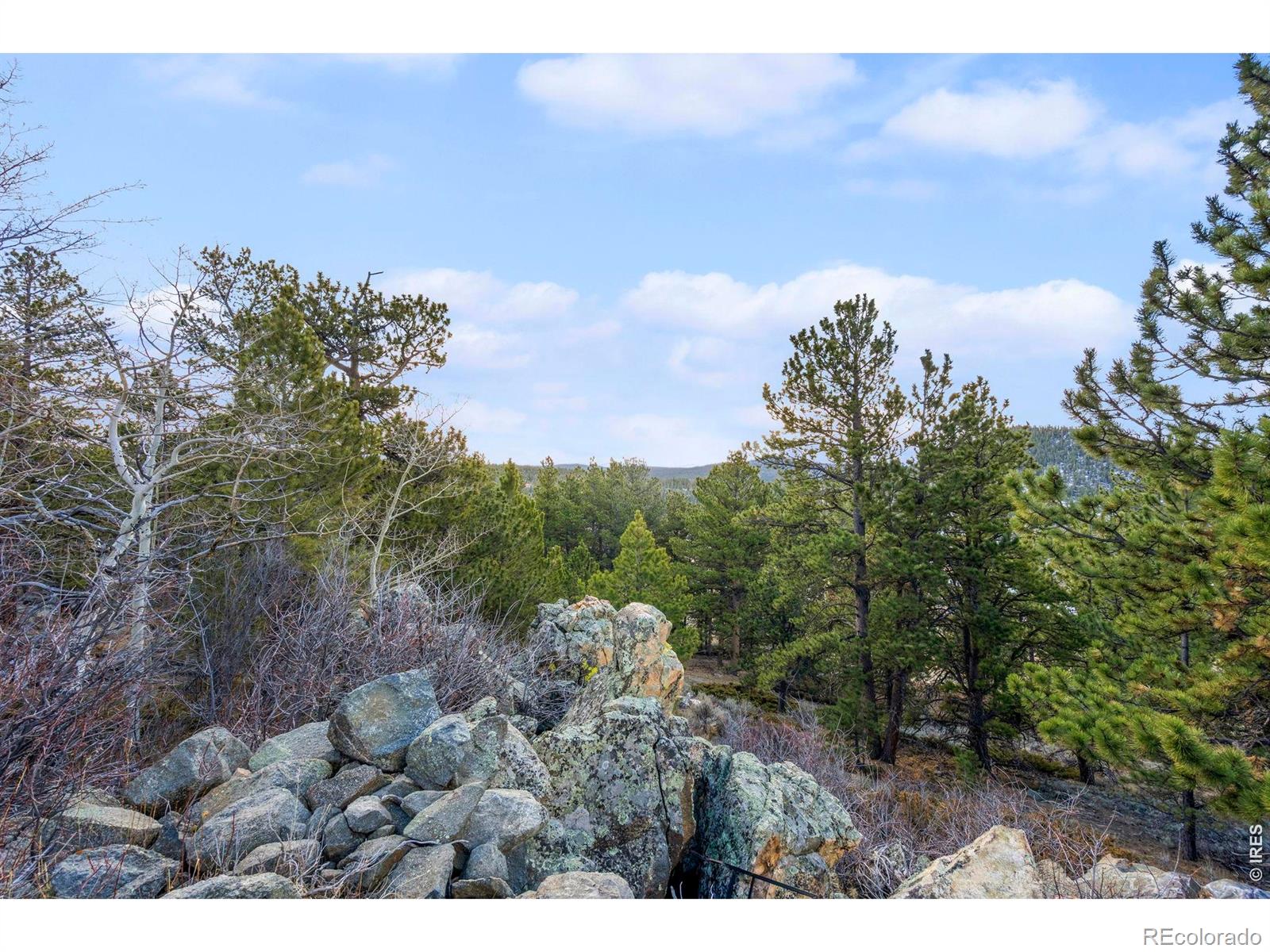 215 Murdock Drive Red Feather Lakes CO 80545
