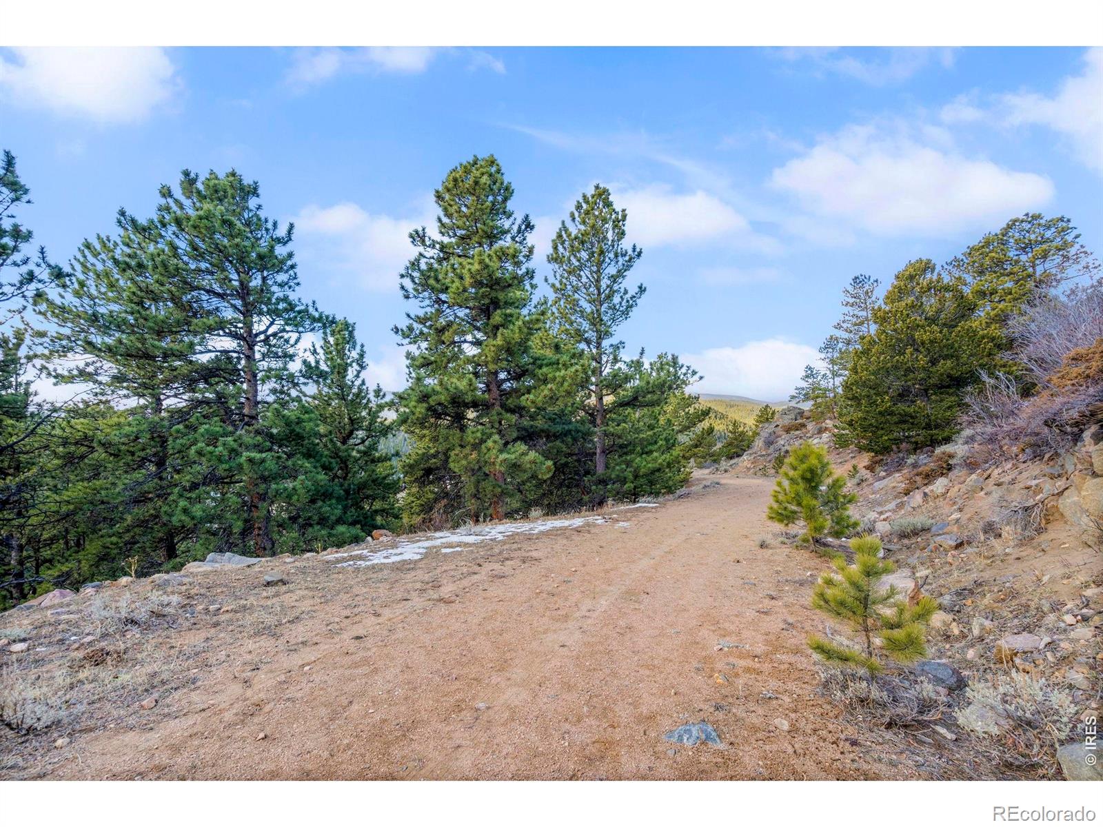 215 Murdock Drive Red Feather Lakes CO 80545