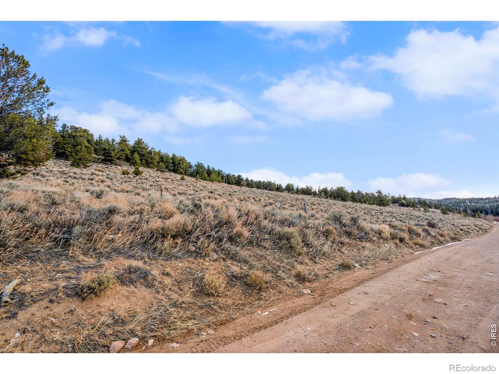 215 Murdock Drive Red Feather Lakes CO 80545
