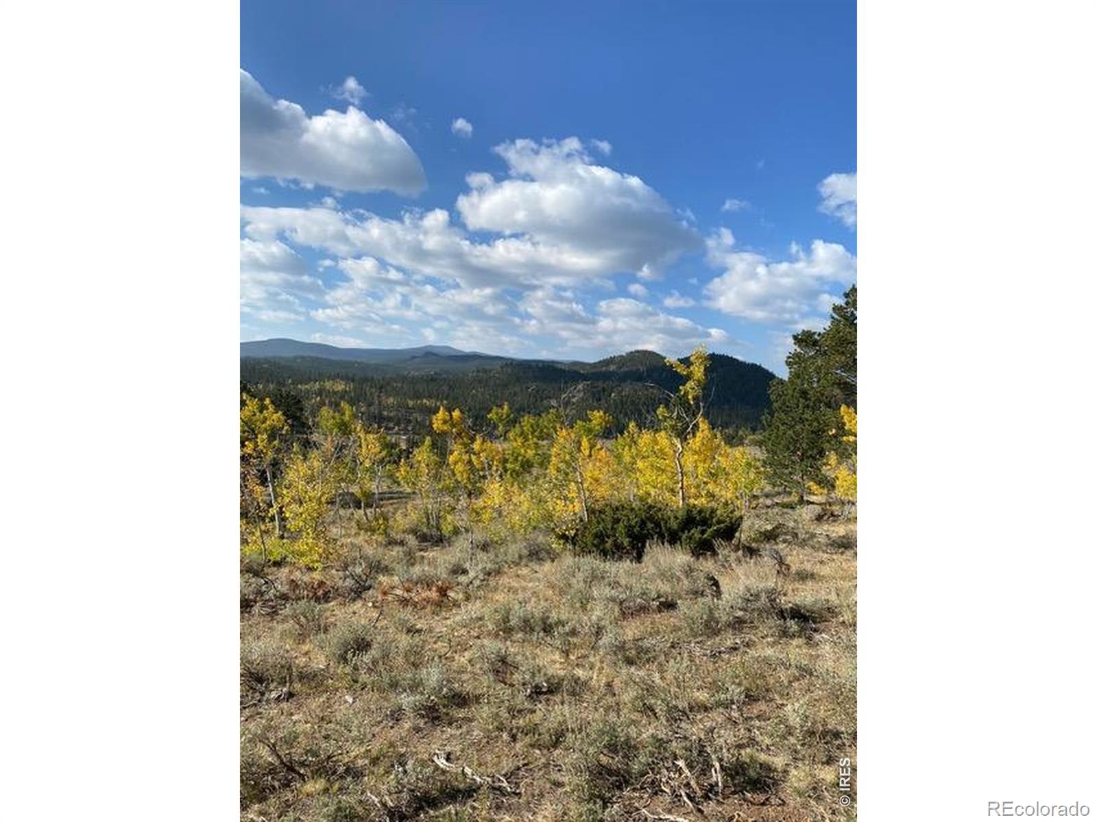 215 Murdock Drive Red Feather Lakes CO 80545